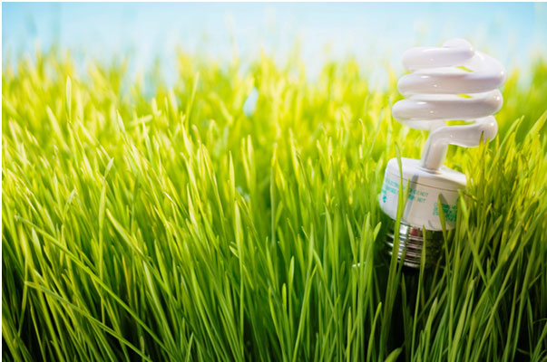 Energetska efikasnost